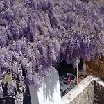Casa Glicinias Obidos