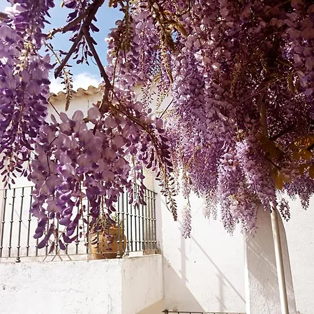 Σπίτι διακοπών Casa Glicinias *