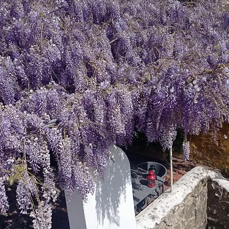 Casa Glicinias Όμπιδος