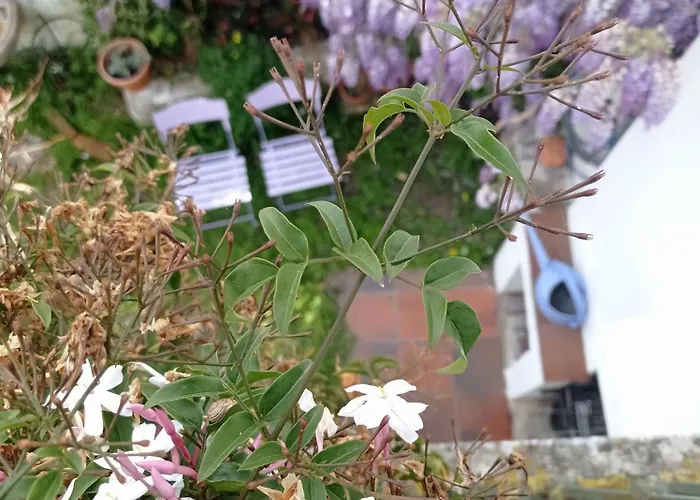 Dom wakacyjny Casa Glicinias *