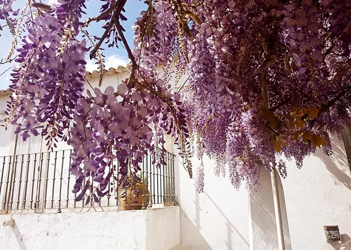 Holiday home Casa Glicinias *