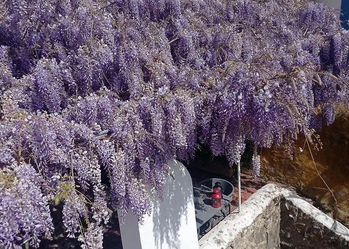 Casa Glicinias Óbidos
